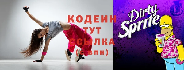 индика Корсаков
