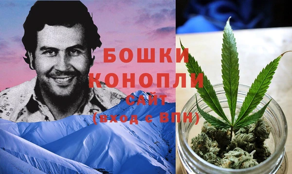 индика Корсаков