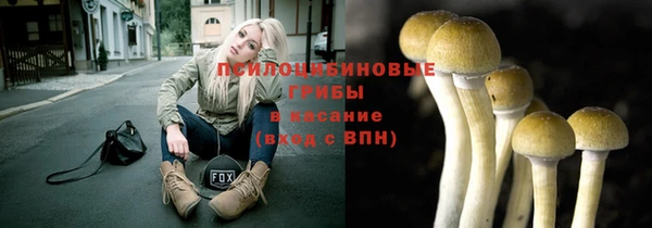 индика Корсаков