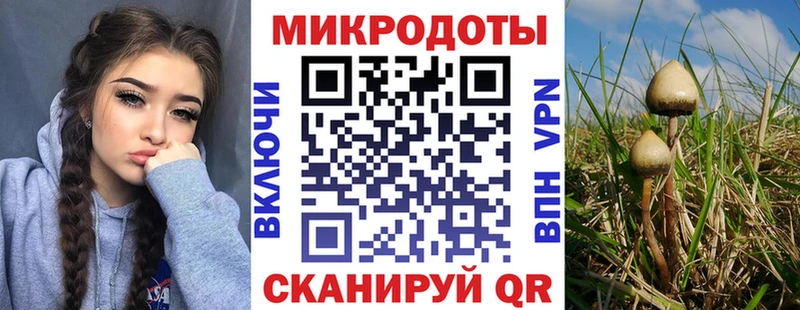 где купить наркоту  Ладушкин  Псилоцибиновые грибы Psilocybe 